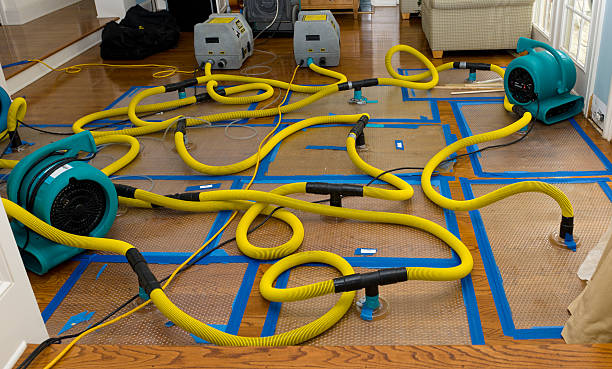 Professional Storm Water Damage Restoration technician working in Goshen, CA